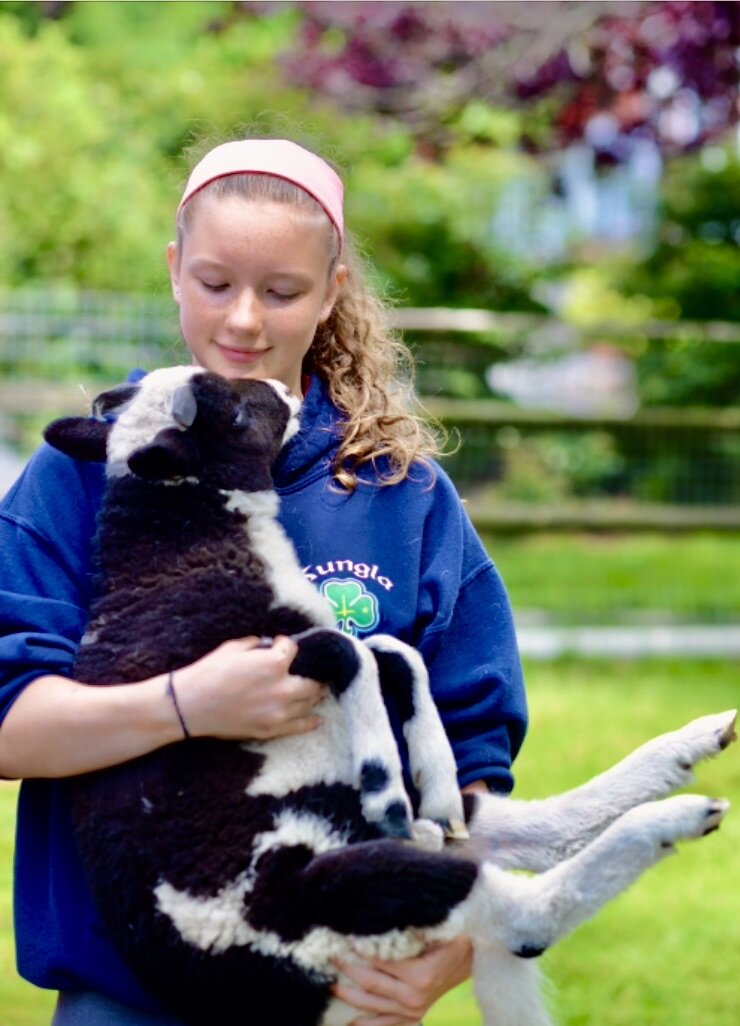 A student gently cradling a baby lamb outdoors