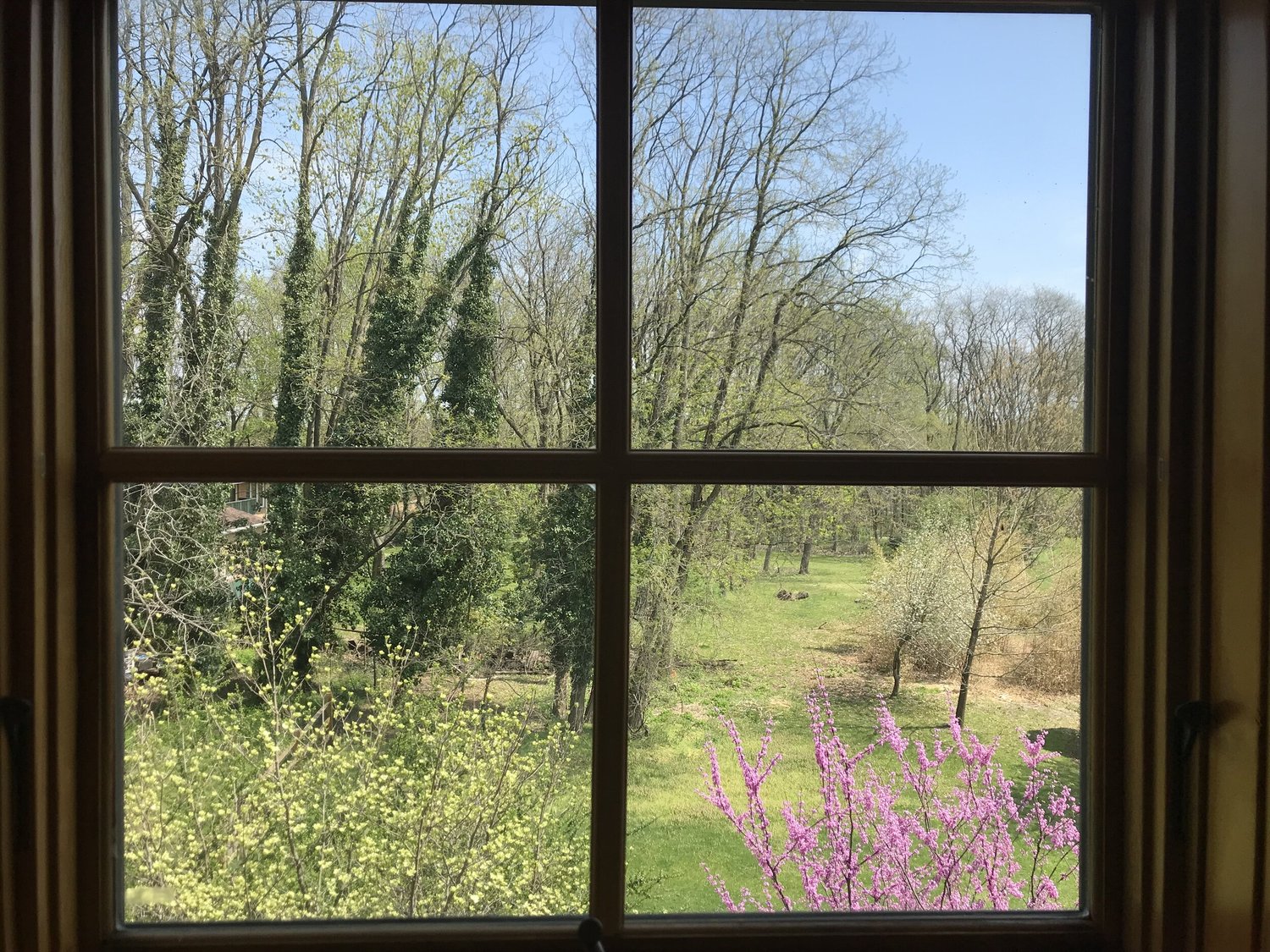 View through a classroom window onto spring trees and green fields