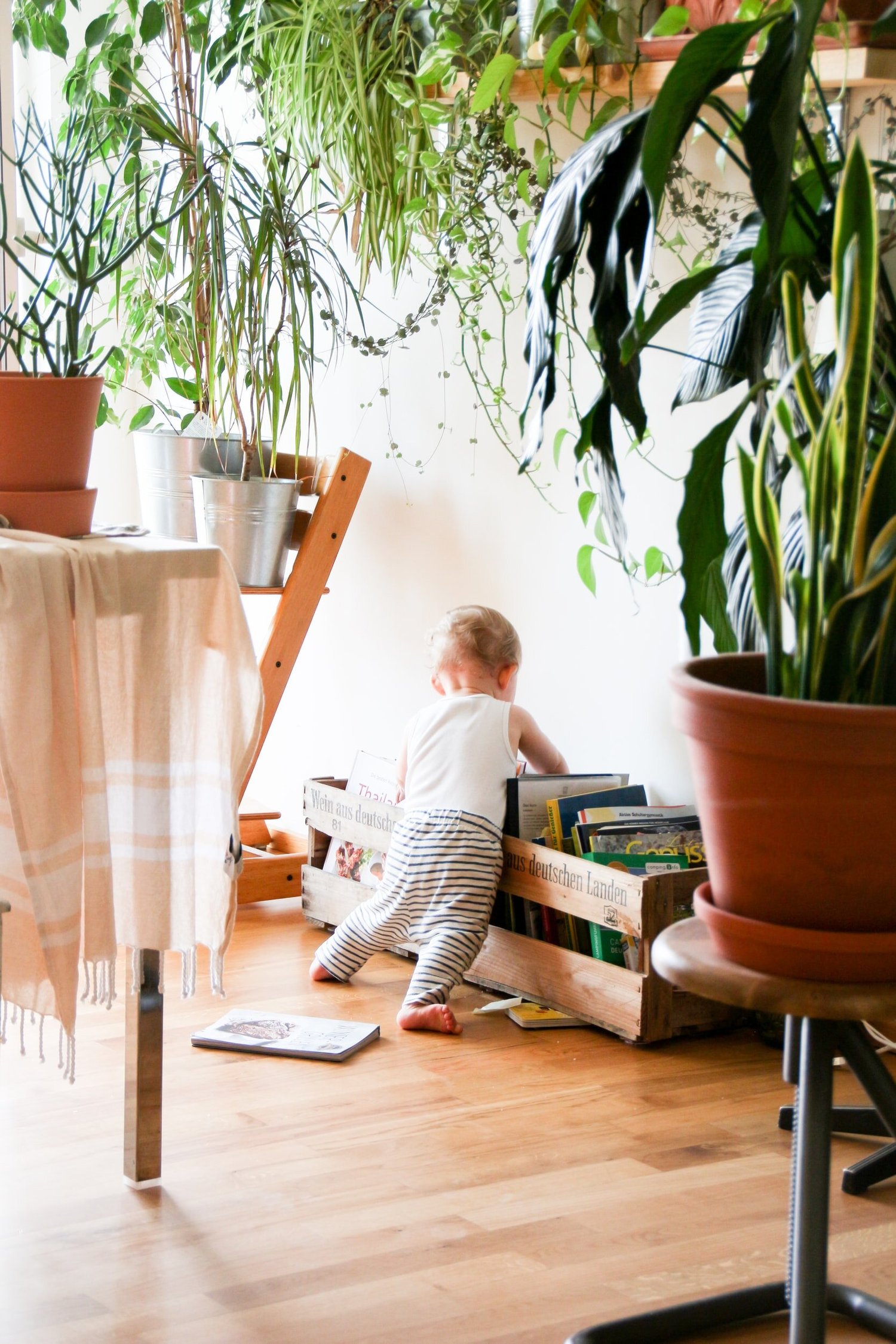A toddler choosing a book from a low wooden shelf, surrounded by houseplants